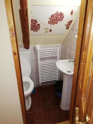 Гостевой дом Cabana Ocna Mesaros Окна-Шугатаг Двухместный номер с 2 отдельными кроватями и общим туалетом-4